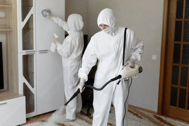 College, AK Mold Removal Company